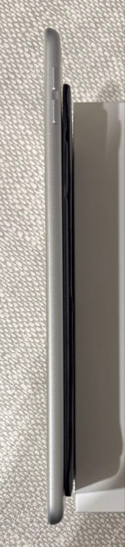 iPad mini5 256GB Wi-Fi 箱あり