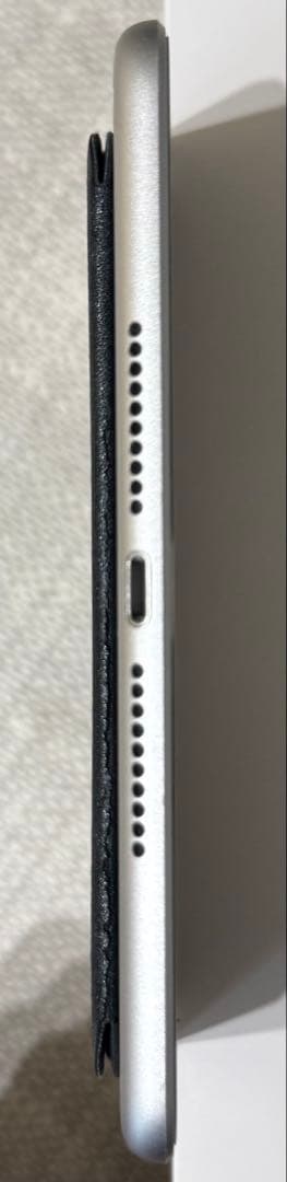 iPad mini5 256GB Wi-Fi 箱あり