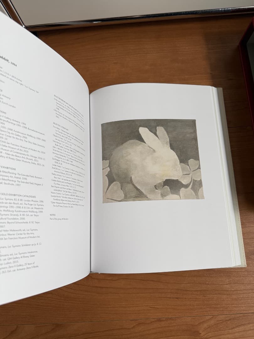 LUC TUYMANS PAINTINGS VOLUME1 1972–1994