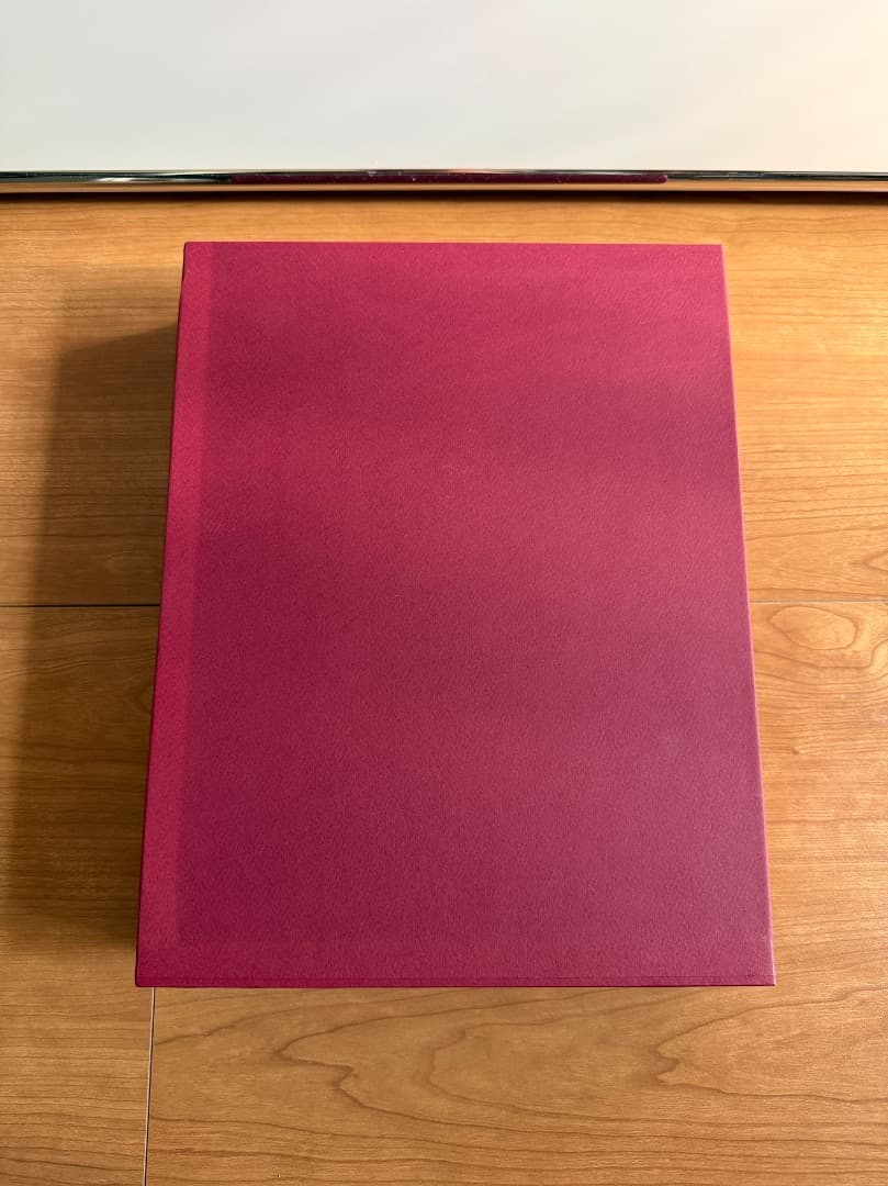 LUC TUYMANS PAINTINGS VOLUME1 1972–1994