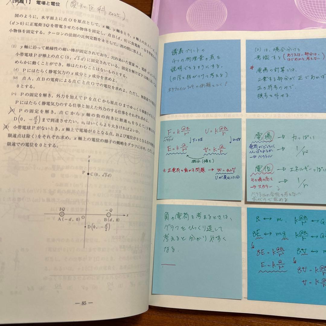 2025物理 基礎・完成シリーズ 演習・問題・解説編セット【坂本幸雅のメモ付き】