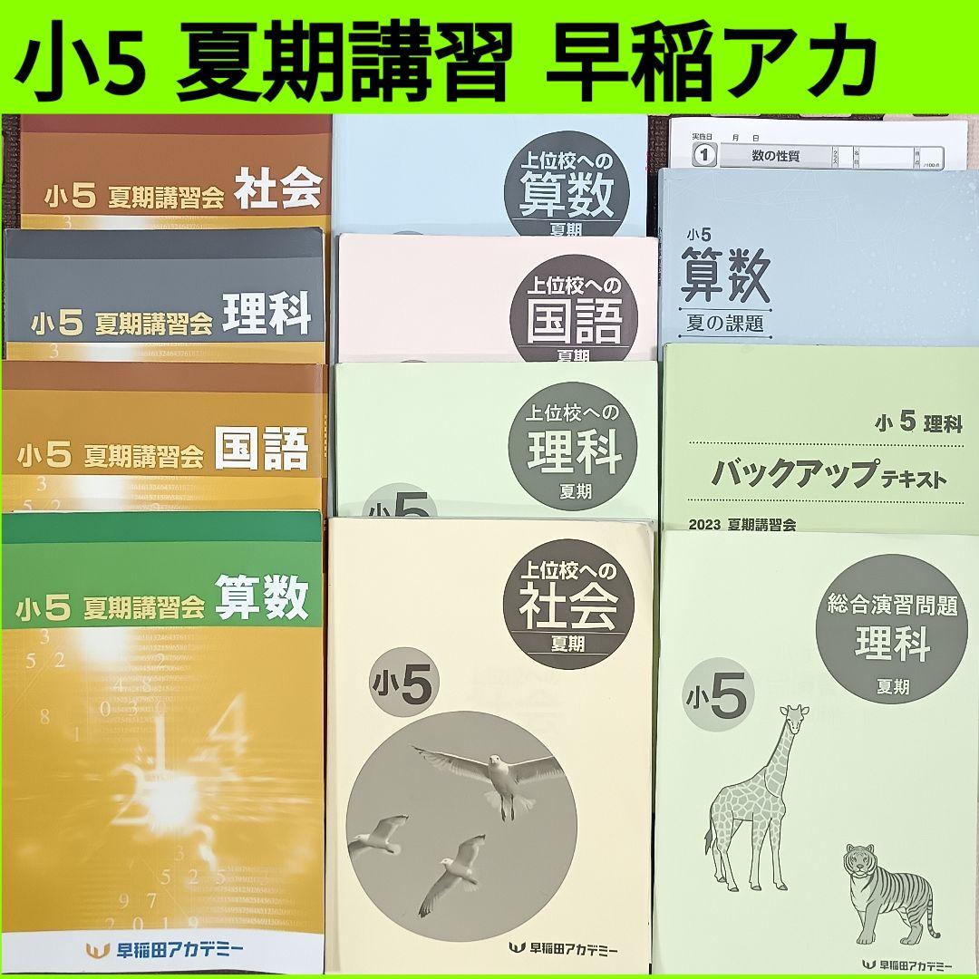 小5 夏期講習 早稲田アカデミー 早稲アカ上位校