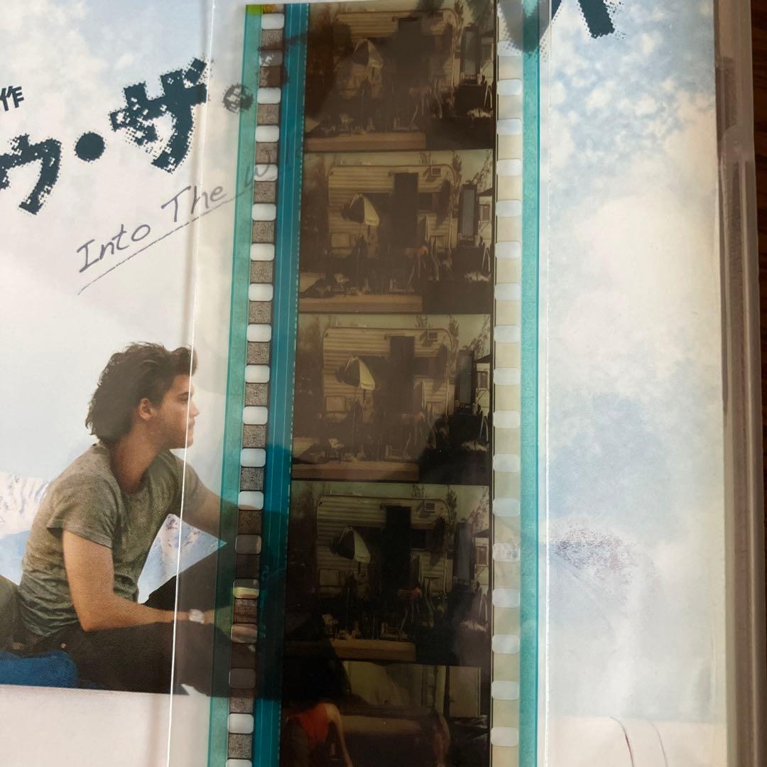 INTO THE WILD イントゥザワイルド　DVD 初回限定版　美品