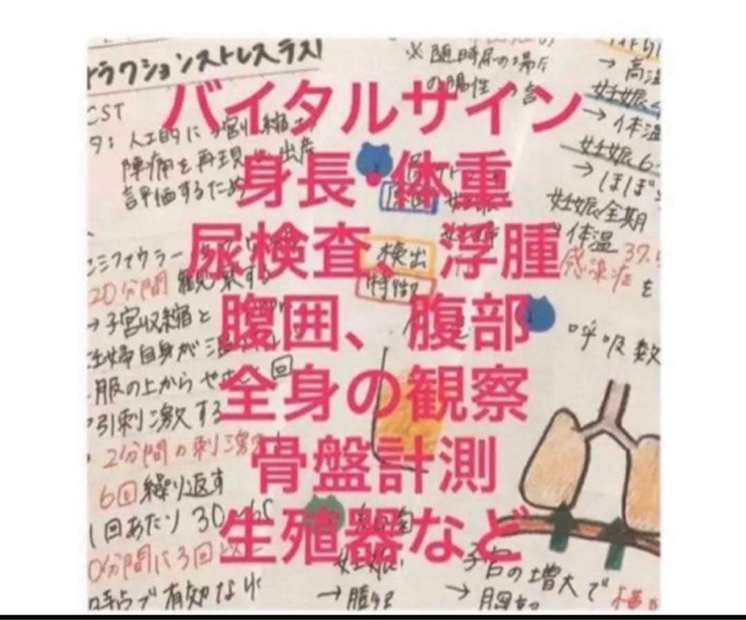 助産師　助産学生　看護師　看護学生　妊娠期　分娩期　産褥期フィジカルアセスメント