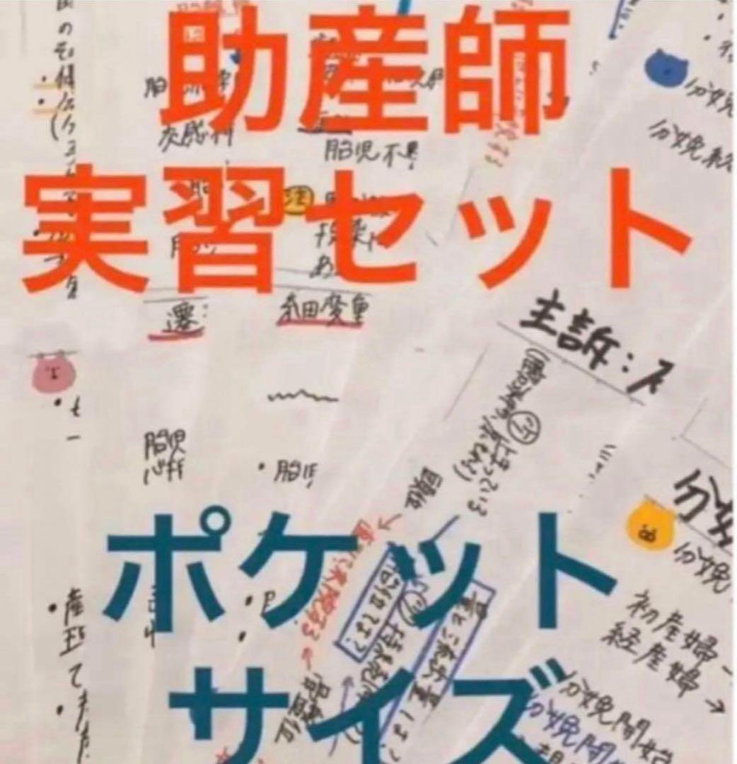 助産師　助産学生　看護師　看護学生　妊娠期　分娩期　産褥期フィジカルアセスメント