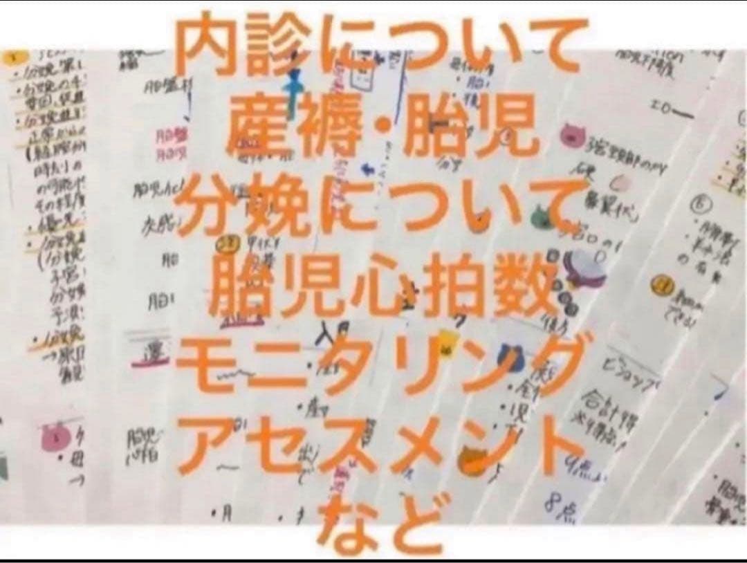 助産師　助産学生　看護師　看護学生　妊娠期　分娩期　産褥期フィジカルアセスメント
