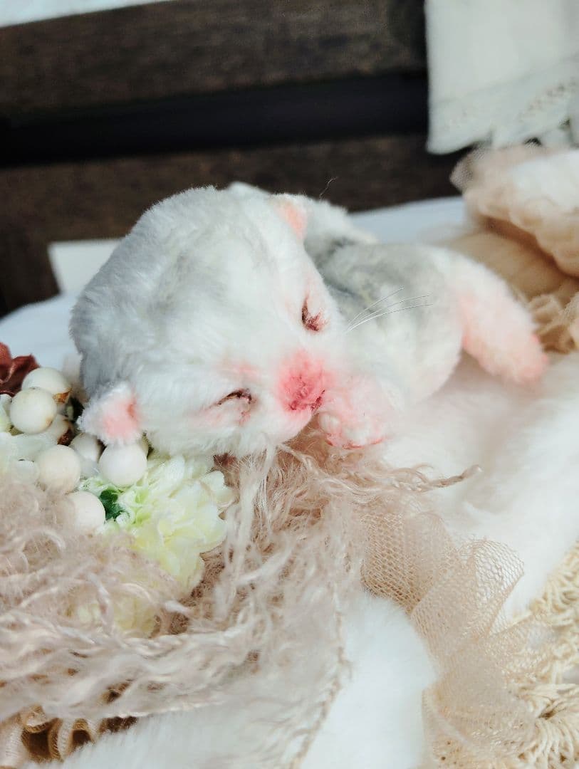 生後１日♡生まれたて子猫ちゃん♡おねんねセット♡アートドール♡ぬいぐるみ♡