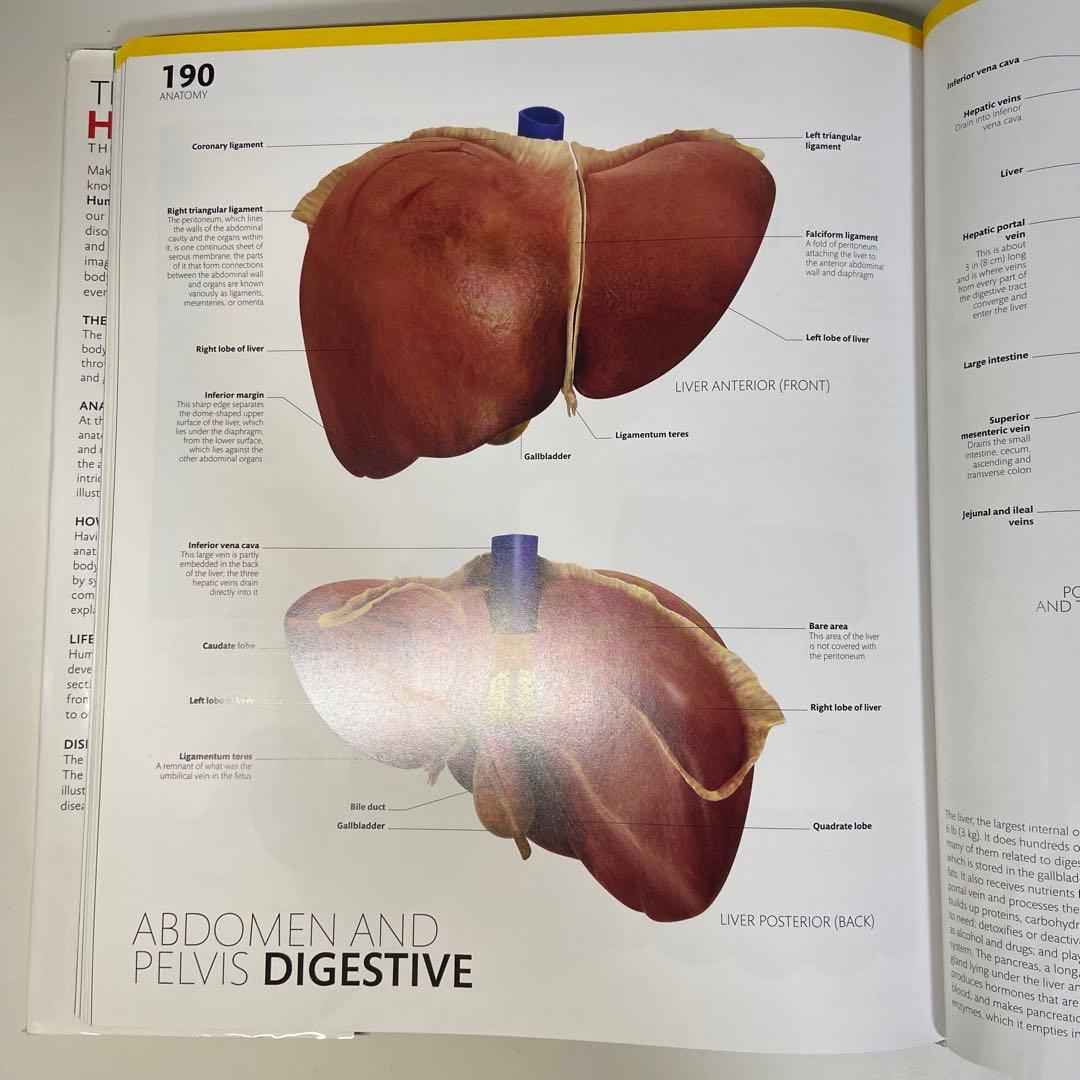 洋書 THE COMPLETE HUMAN BODY 2nd Edition