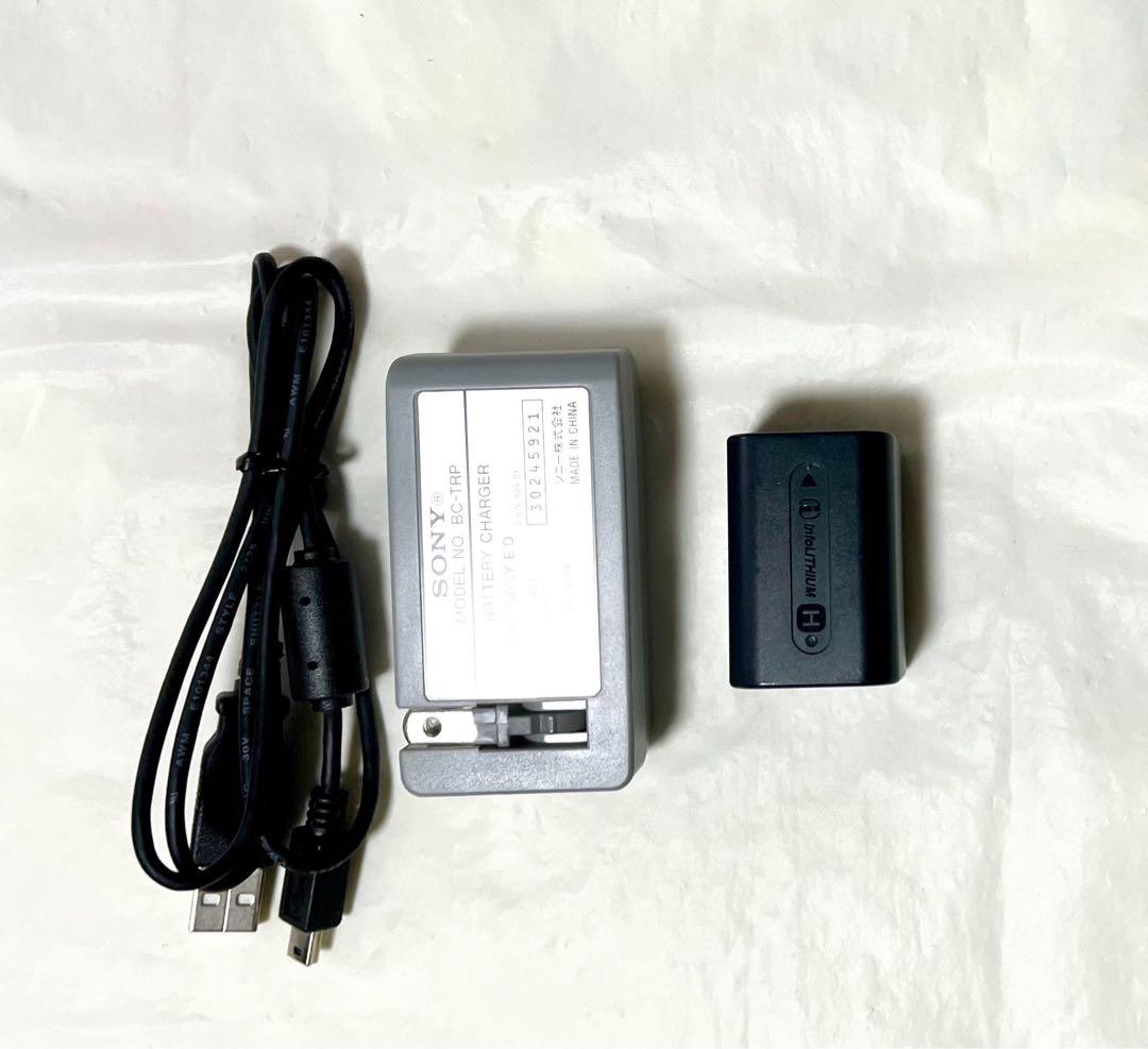 SONY HDR-SR11 ビデオカメラ本体