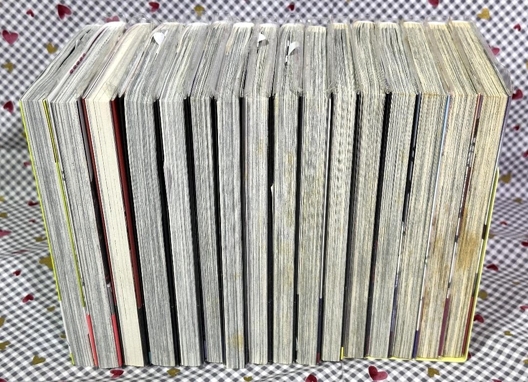 裏切りは僕の名前を知っている DVD 画集 漫画 付録