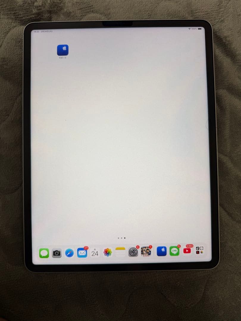 iPad Pro12.9インチ 第5世代 128GB