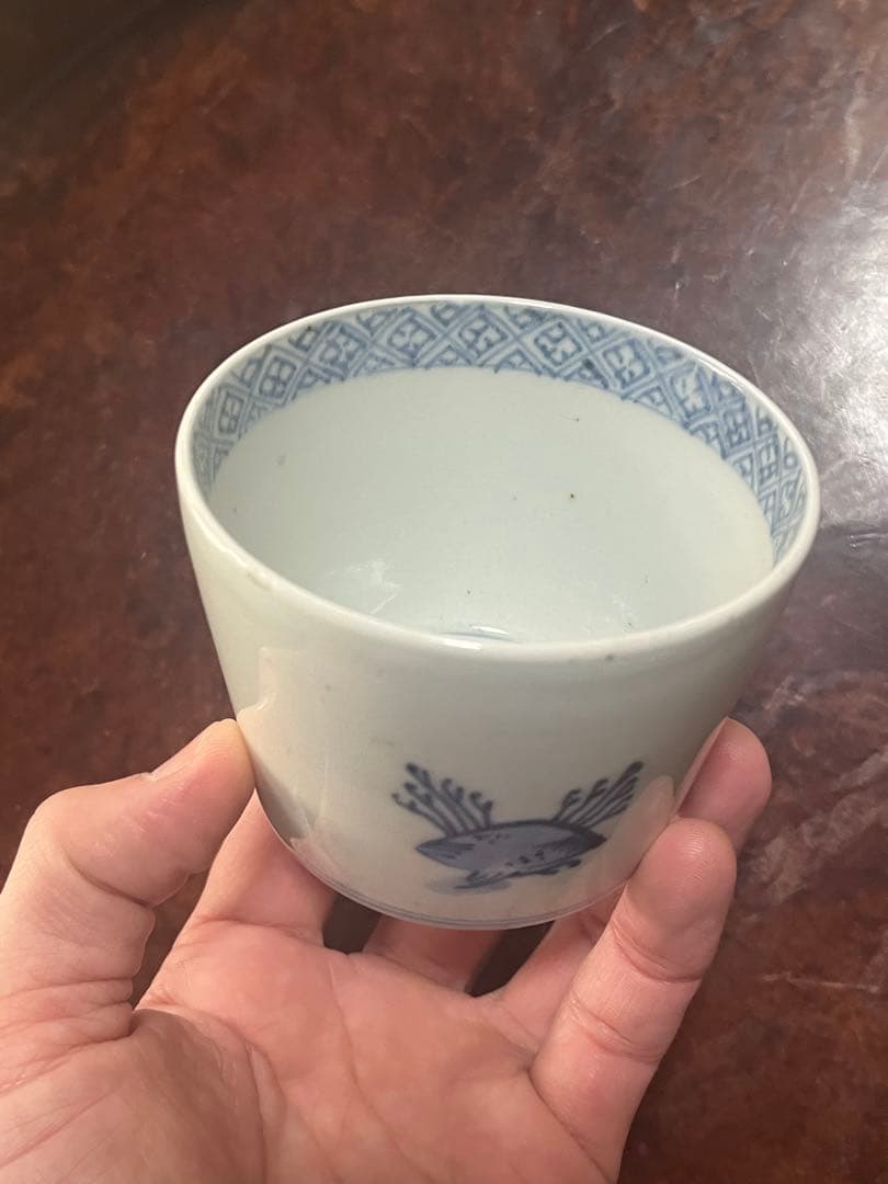 古伊万里　無傷完品　海底　貝　海藻　そば猪口　蕎麦猪口　そばちょこ　コレクション