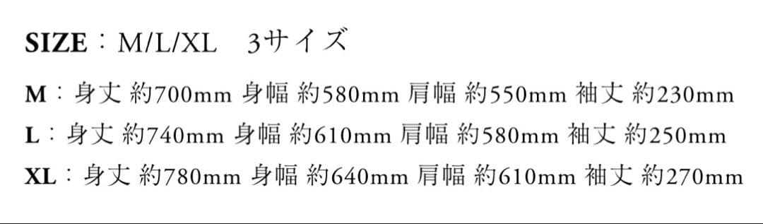 坂本龍一Ryuichi Sakamoto “12” T shirt 5月Mサイズ