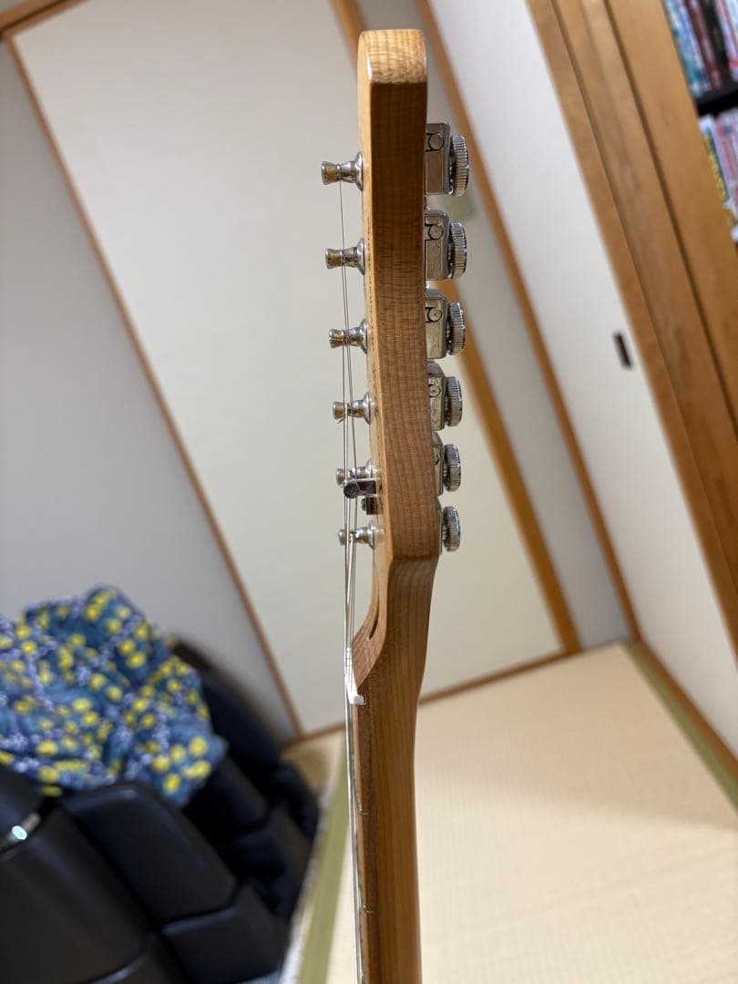 ギター bacchus TAC24 FMH-RSM/M N-BR-B