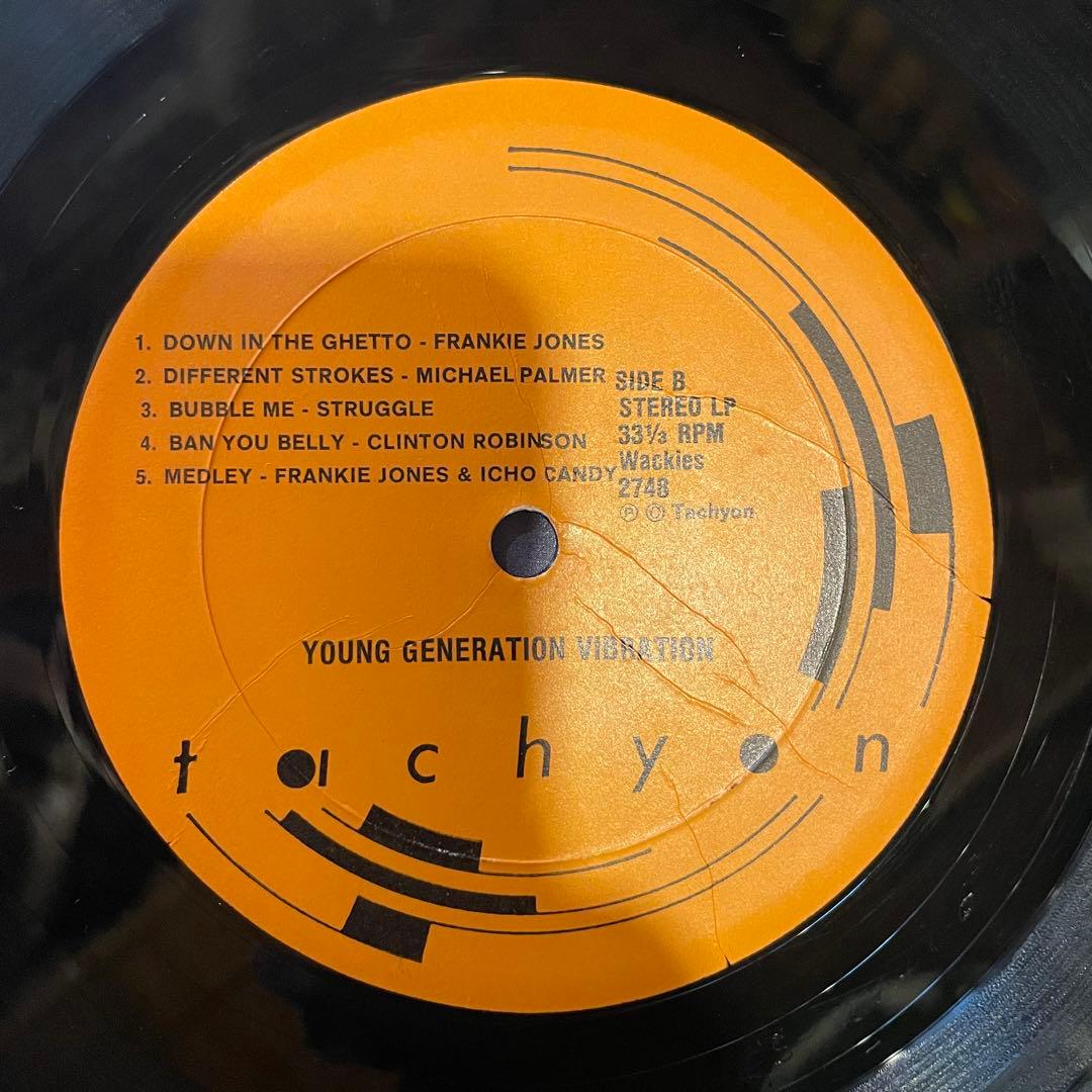 洋楽 VA/ Young Generation Vibration /LP