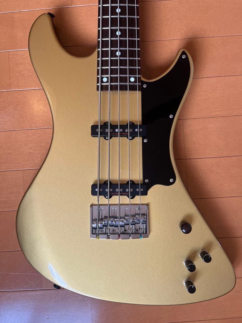 Carlos Guitar カルロスギター 5弦ベース