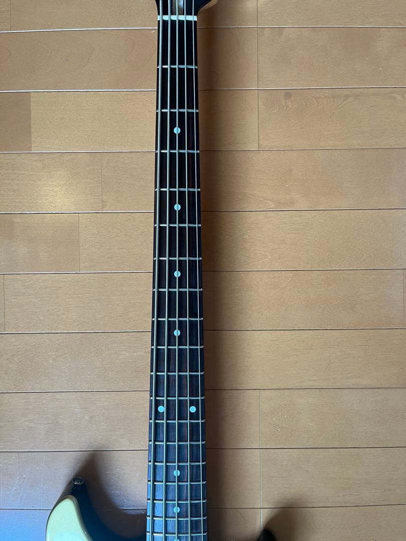 Carlos Guitar カルロスギター 5弦ベース