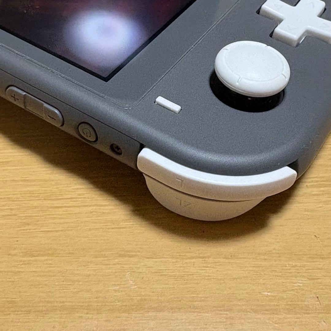 Nintendo Switch Lite 本体　ケース