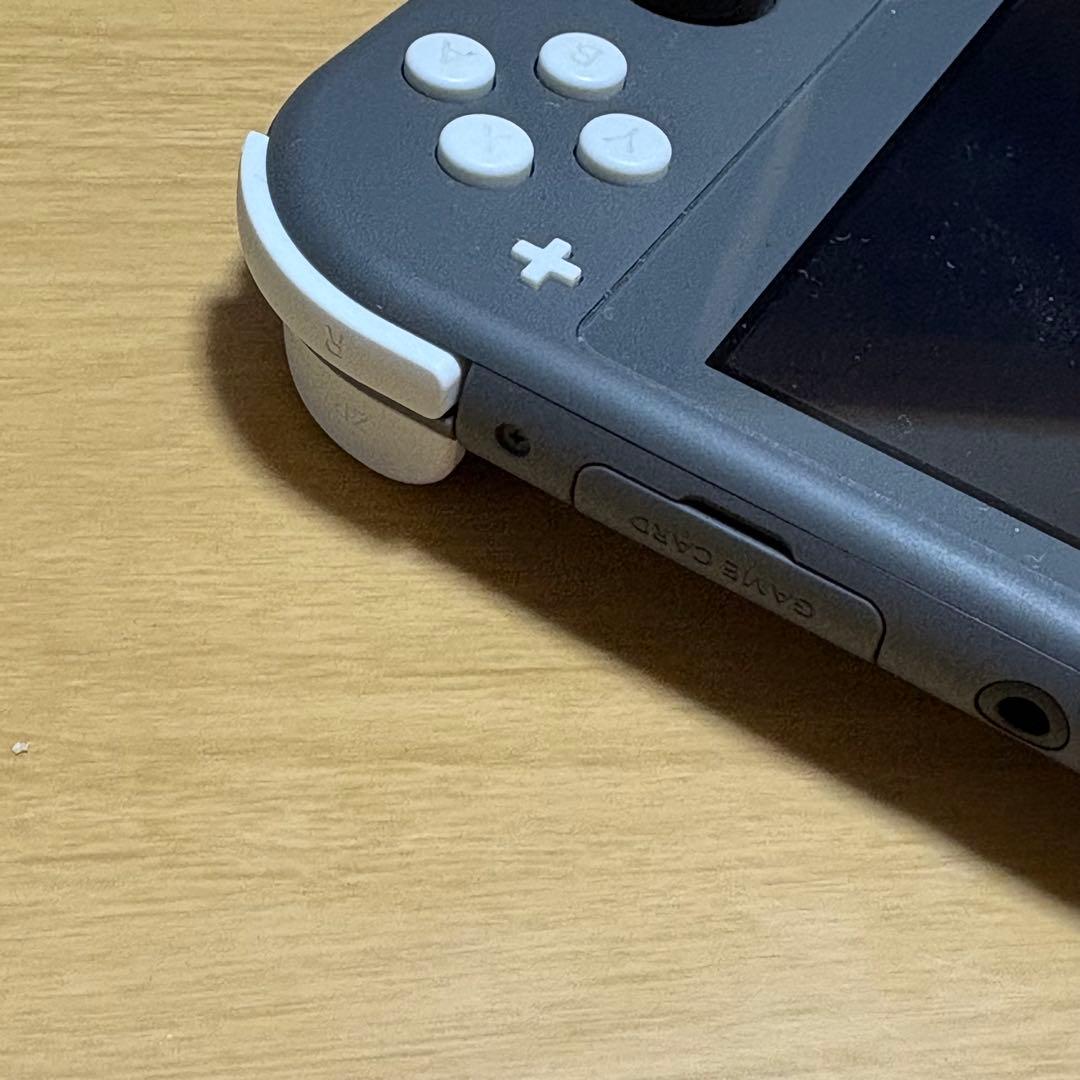 Nintendo Switch Lite 本体　ケース