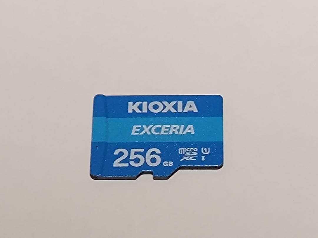 Nintendo Switch Lite ターコイズ 256GBのSDカード付属