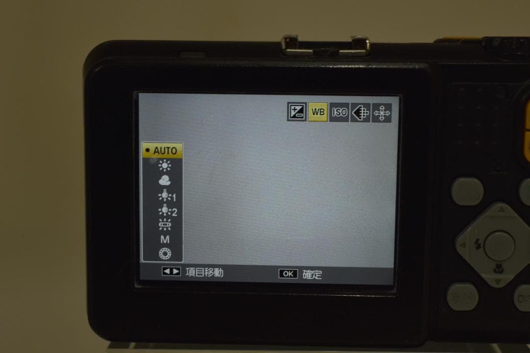 ■ 美品 ■ リコー　RICOH G800 【S数17307回】