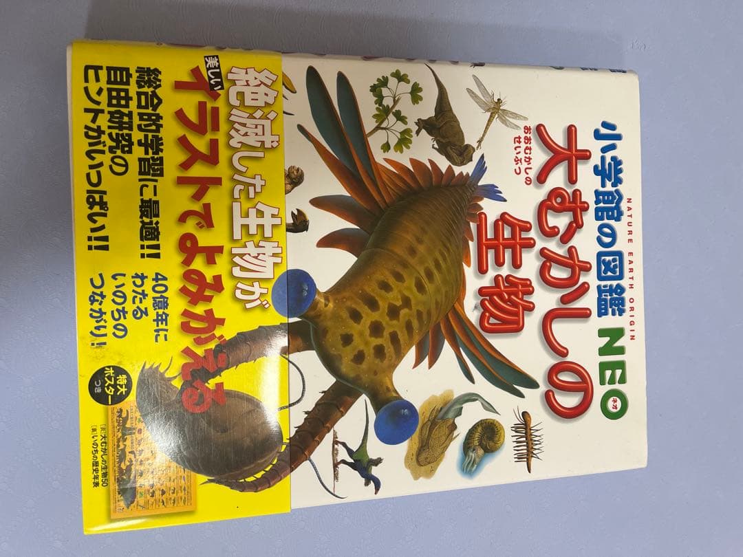 小学生の図鑑NEO ６冊　 人間、魚、宇宙、植物、恐竜、大むかしの生物