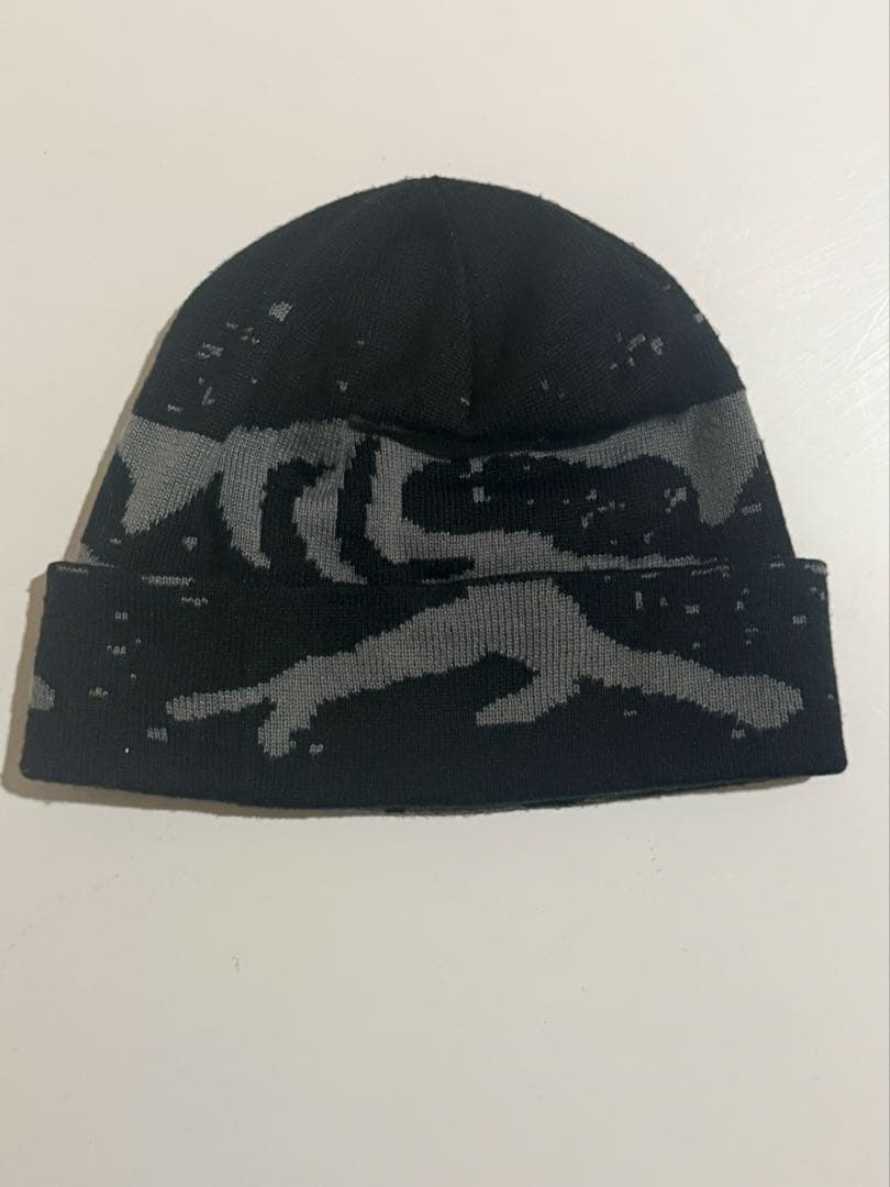 アークテリクス Arc’teryx ビーニー