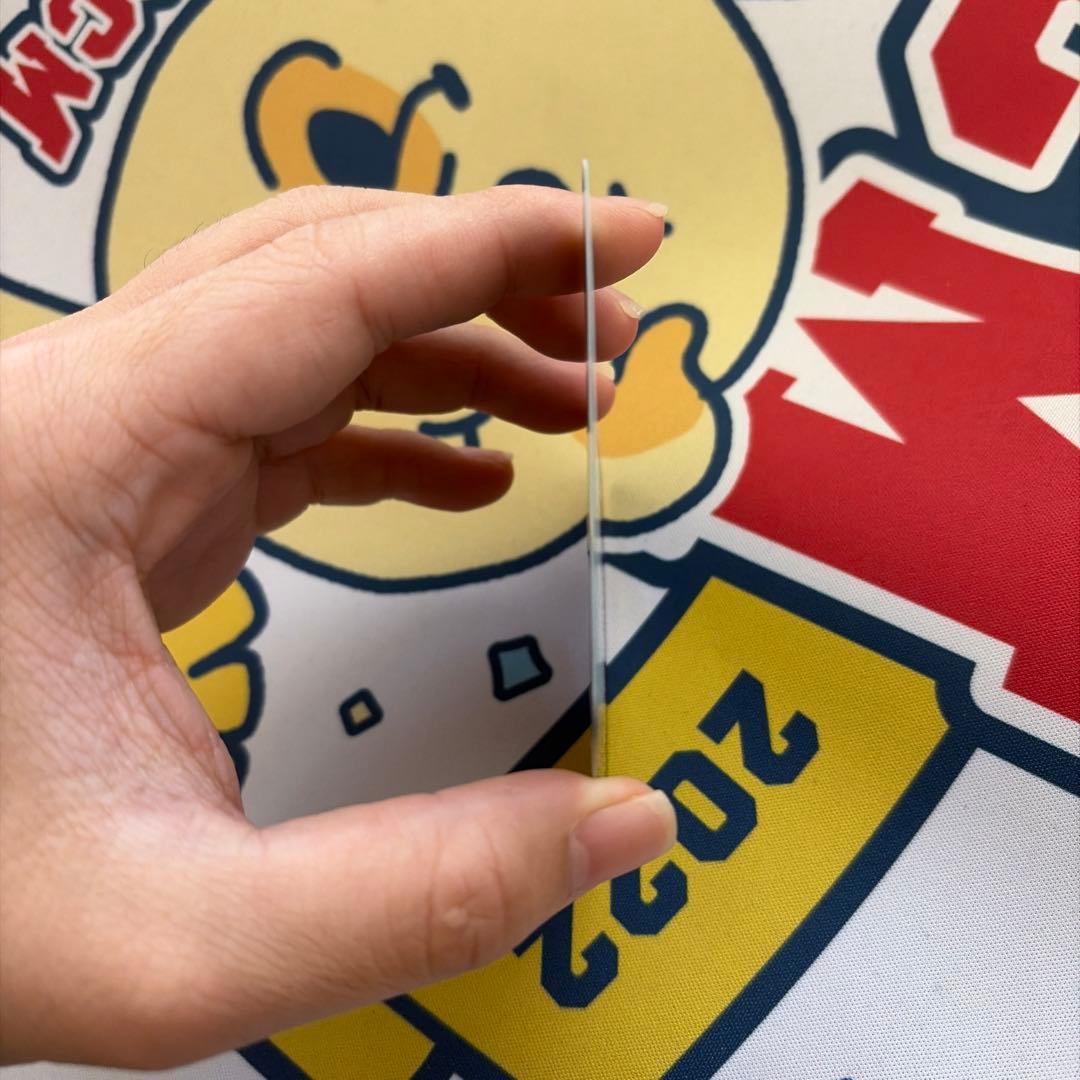 偽りの王 ヴィルヘルム プロモ　CS