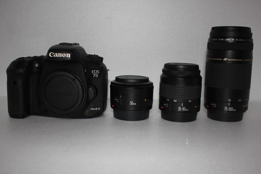 Canon EOS 7D MarkⅡ 標準&望遠&単焦点トリプルレンズセット