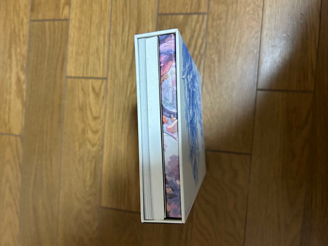 羅小黒戦記　ぼくが選ぶ未来　完全生産限定版　Blu-ray おまけ付き
