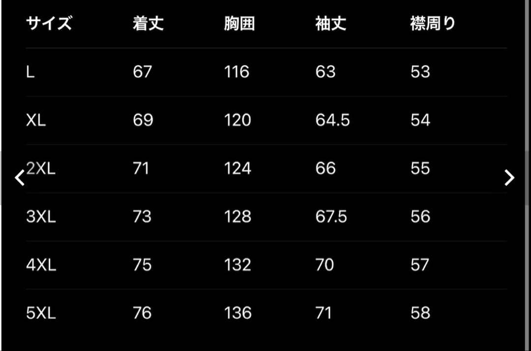 Ferrari F1 ジャケット　フェイクレザー