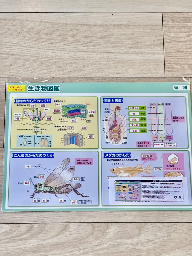 旺文社　お風呂ポスター中学受験シリーズ　新品８枚セット