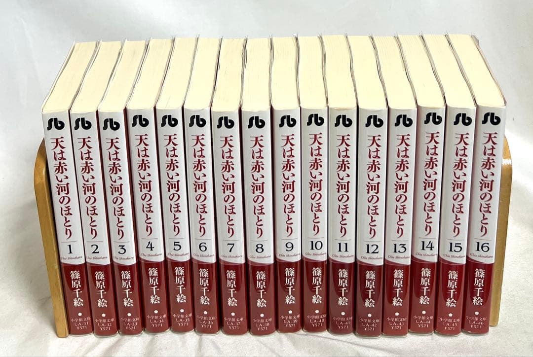 【貴重✨全巻初版・帯付き・栞付き・比較的美品】天は赤い皮のほとり 文庫 全巻