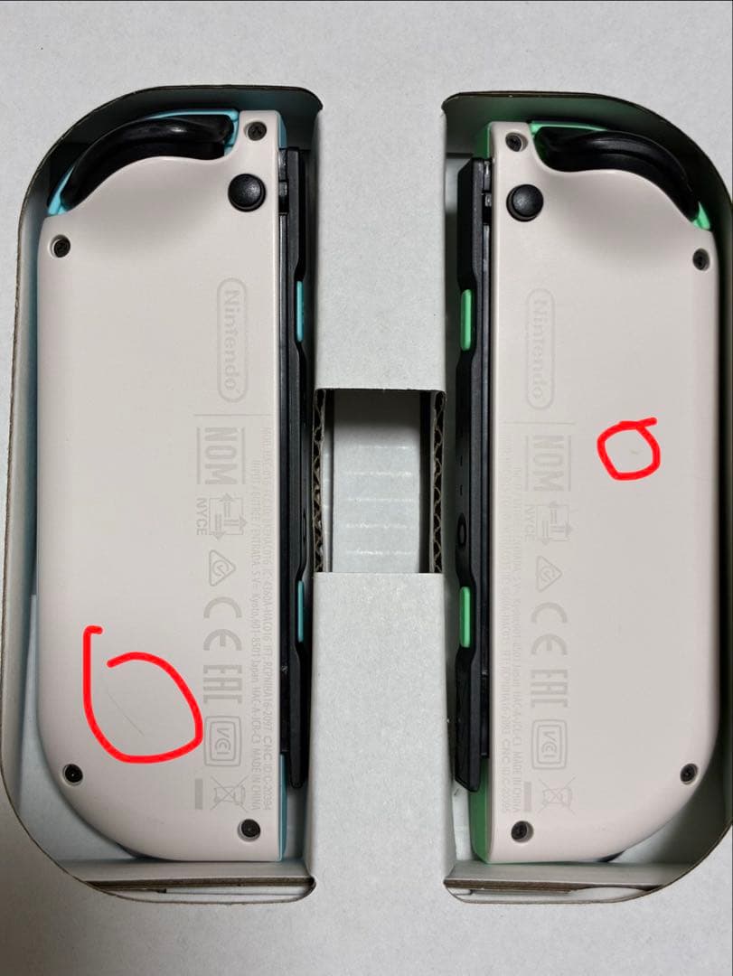 Nintendo Switch あつまれどうぶつの森　本体