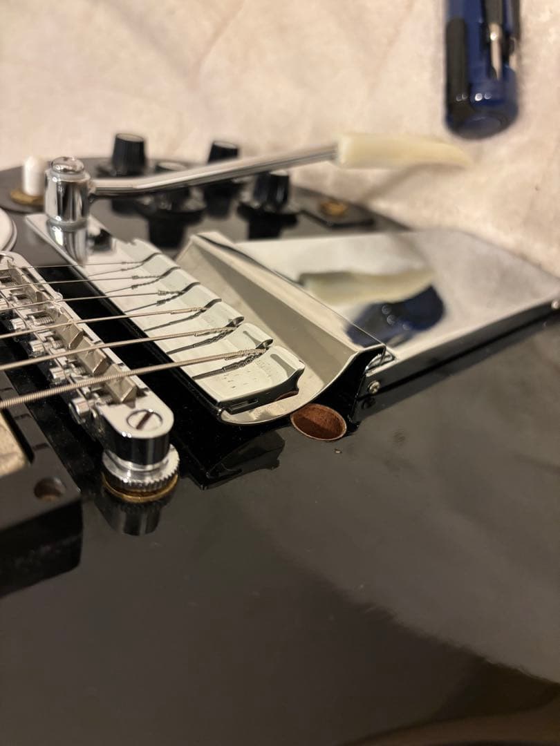 エドワーズ？SG Custom 3PU Maestro Vibrola 詳細不明