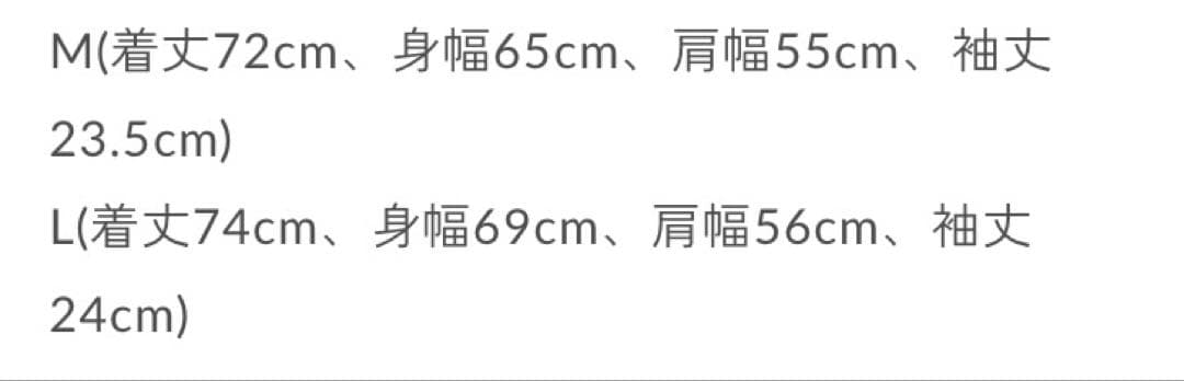 【試着のみ】FreshService フレッシュサービス　マルチボーダーTシャツ