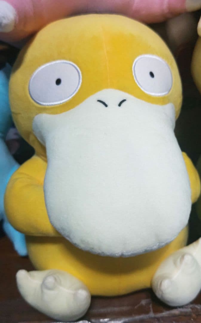 ポケットモンスター ぬいぐるみ 6種セット