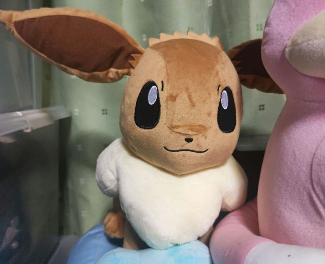 ポケットモンスター ぬいぐるみ 6種セット