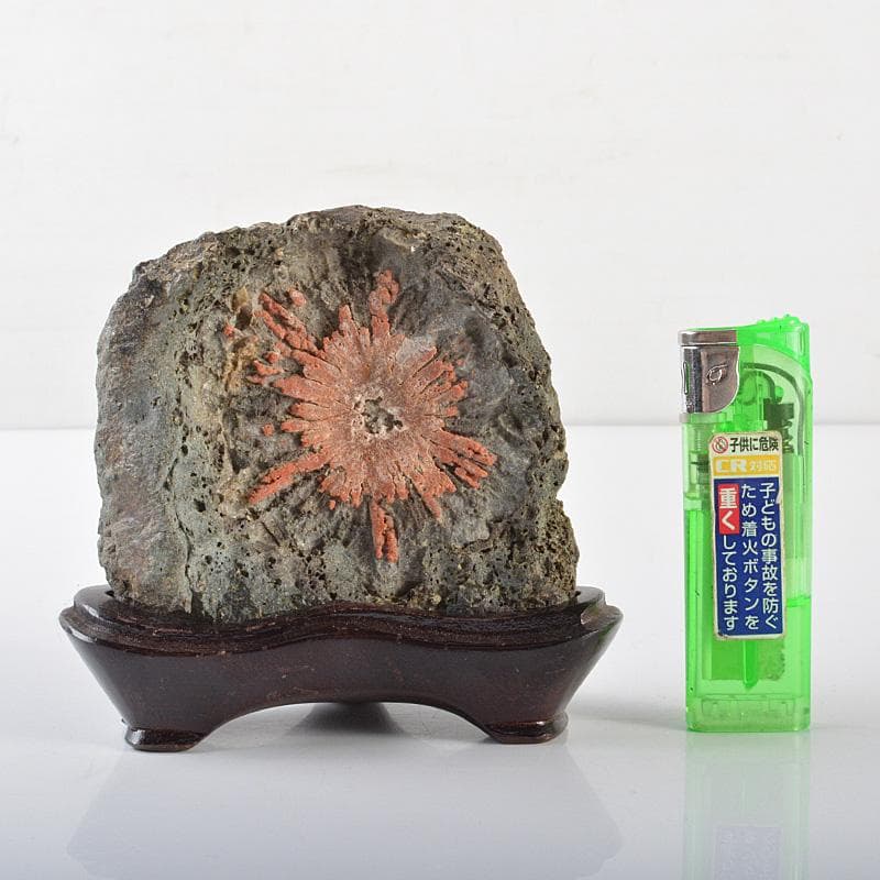 天然石　鑑賞石　菊花石　置物　重さ約392g　唐木台付　V　R6492