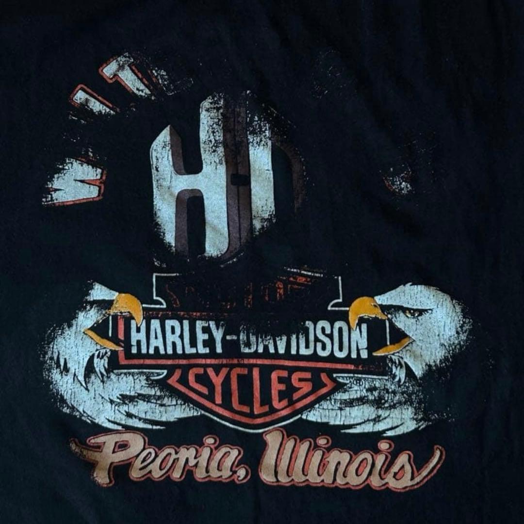 Harley-Davidson Tiger Flame Tシャツ