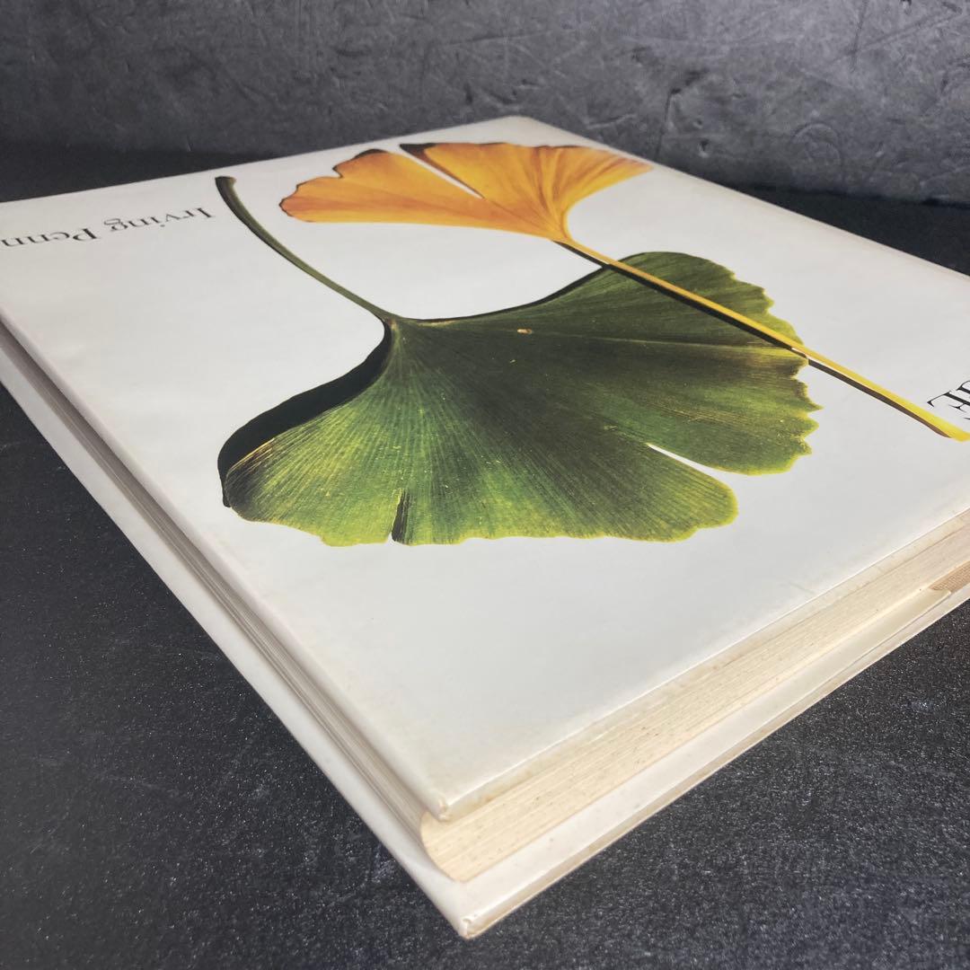 Irving Penn PASSAGEアーヴィングペン パッセージ1991年初版