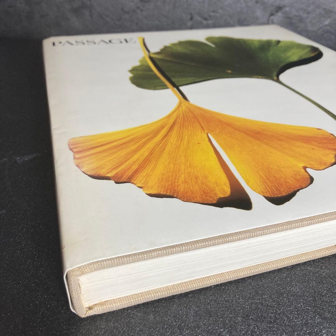 Irving Penn PASSAGEアーヴィングペン パッセージ1991年初版