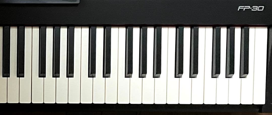 ゆき 【未使用に近い】ローランド Roland FP-30-BK