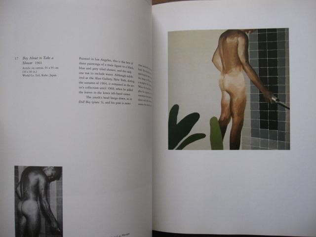 DAVID HOCKNEY PAINTINGS　デイヴィッド・ホックニー