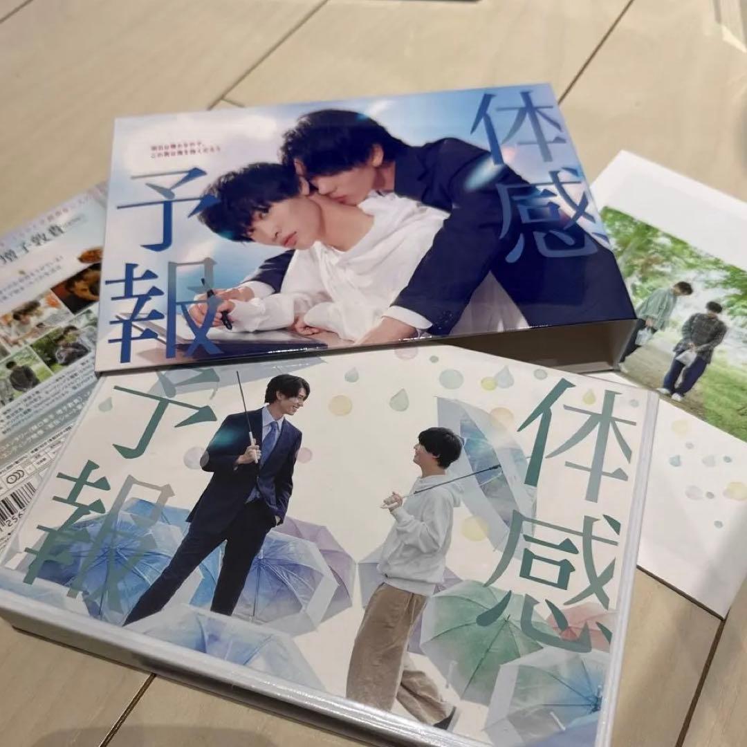 体感予報　DVD 樋口幸平　増子敦貴