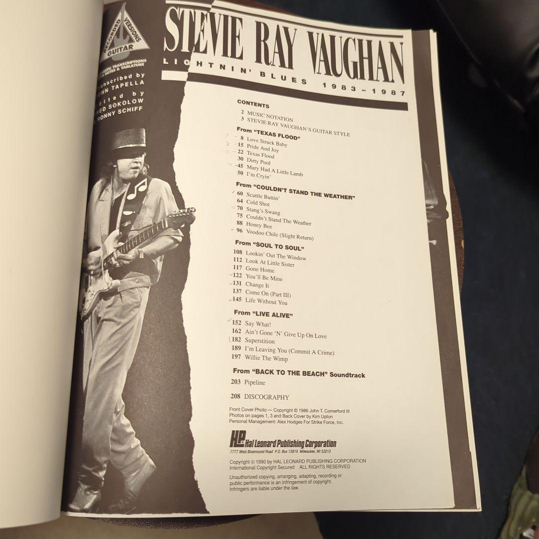 アート・デザイン・音楽 Stevie Ray Vaughan: Lightnin' in Blues