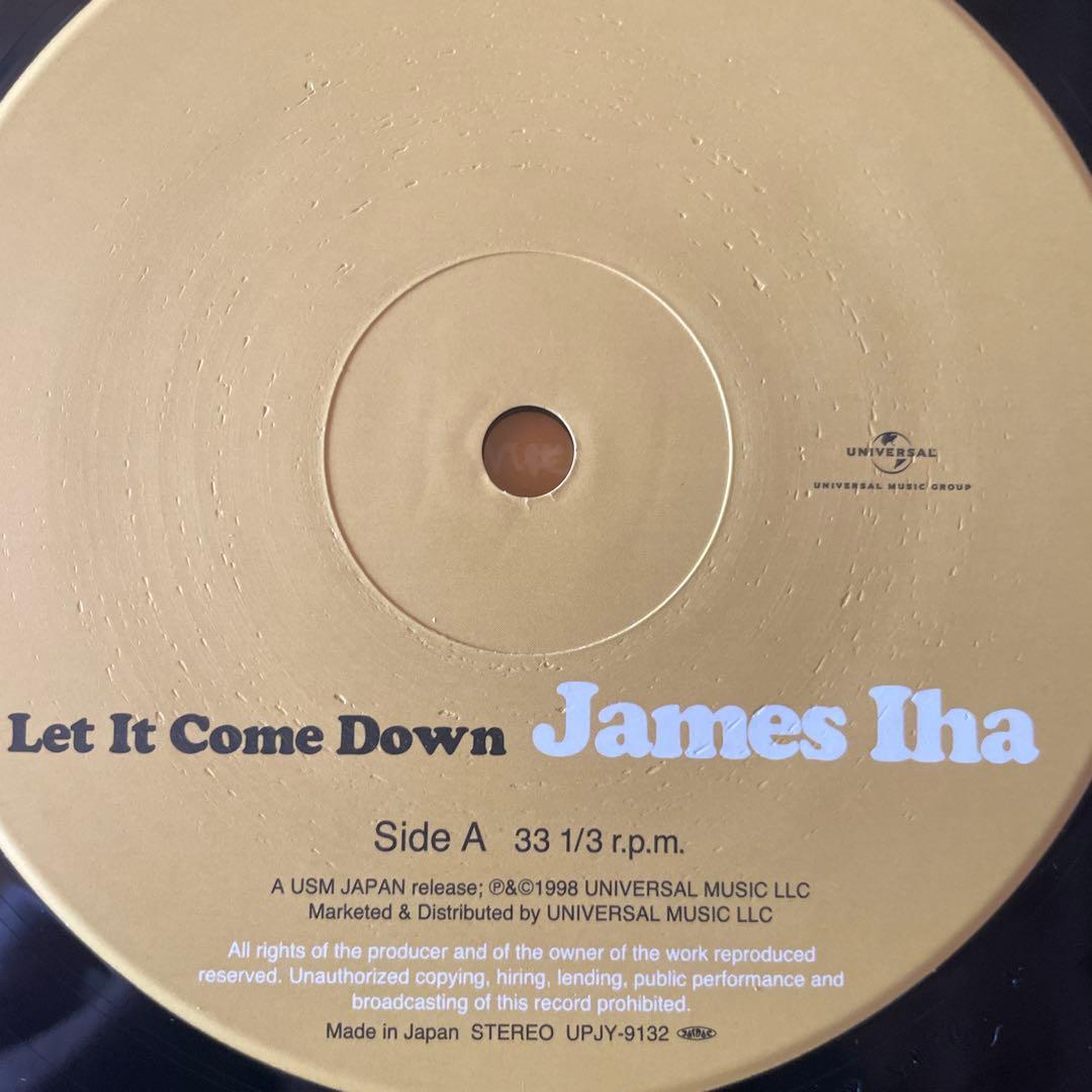 洋楽 James Iha Let It Come Down LP Vinyl