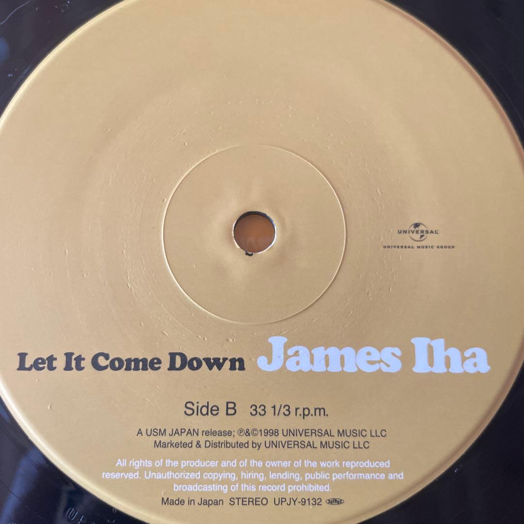 洋楽 James Iha Let It Come Down LP Vinyl