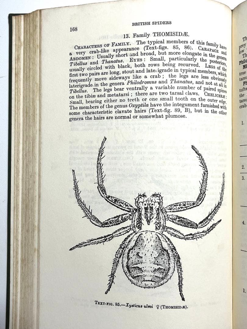 ⭕️新価格⭕️★BRITISH SPIDERS I・IIイギリスの蜘蛛図鑑