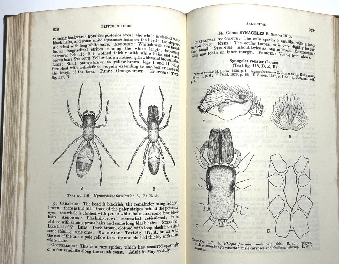 ⭕️新価格⭕️★BRITISH SPIDERS I・IIイギリスの蜘蛛図鑑